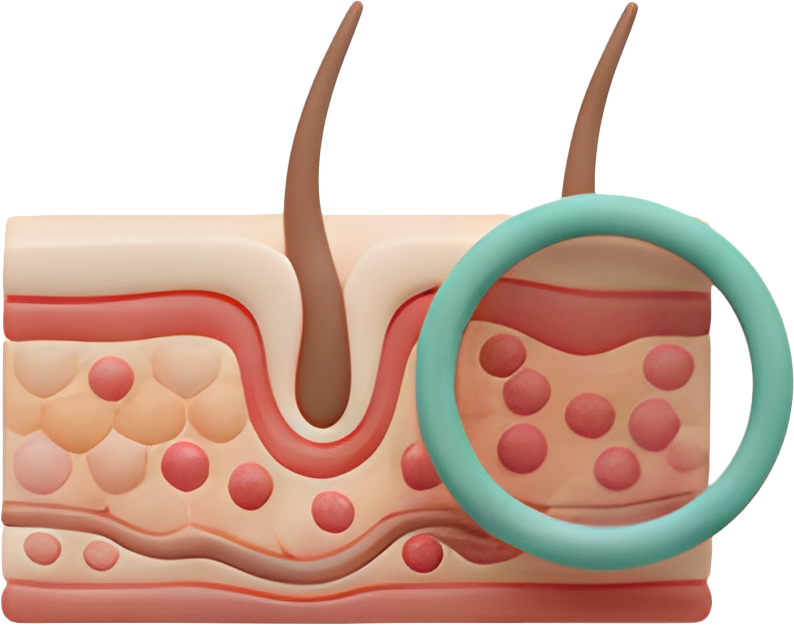 تخصص الأمراض الجلدية